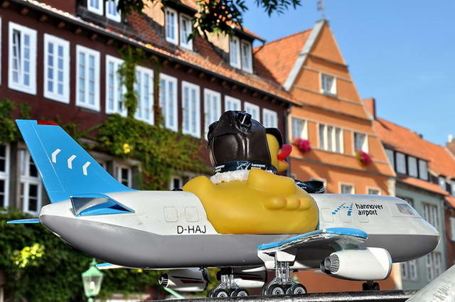 Enten   065.jpg